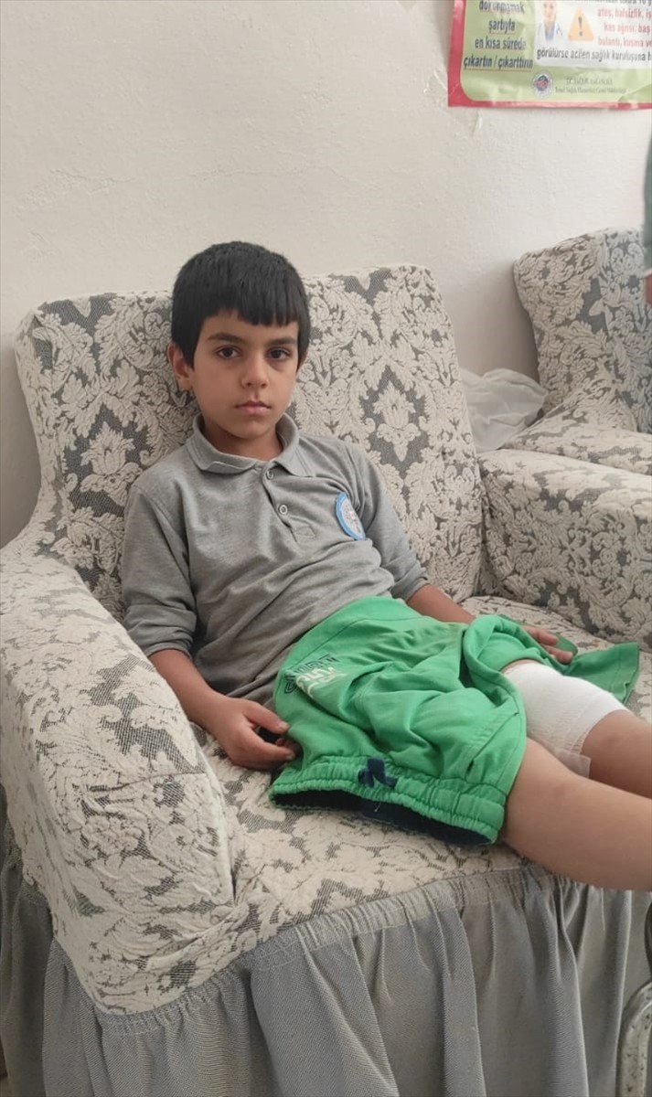 Bursa'nın Orhangazi ilçesinde sahipsiz köpeğin saldırısına uğrayan çocuk yaralandı. Bacağında...