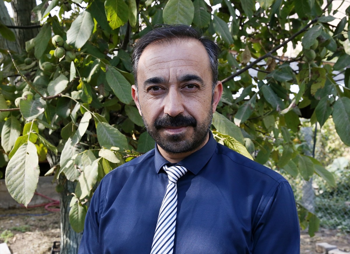 Ceviz yetiştiriciliğinin önemli merkezlerinden Bitlis'in Adilcevaz ilçesinde, hasadına başlanan...