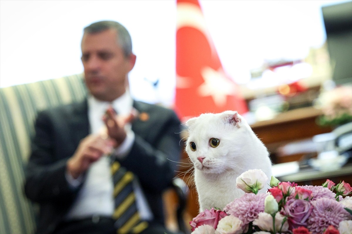 CHP Genel Başkanı Özgür Özel, ABD merkezli X şirketinin sosyal medya platformundaki hesabından...