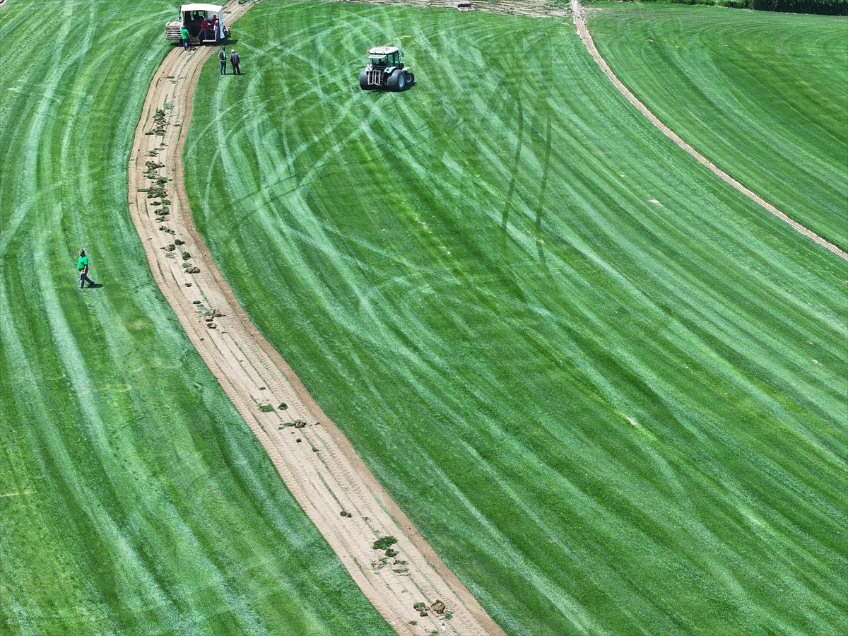 Edirne’nin İpsala ilçesine bağlı 900 nüfuslu Kumdere köyünde faaliyet gösteren rulo çim üretim...