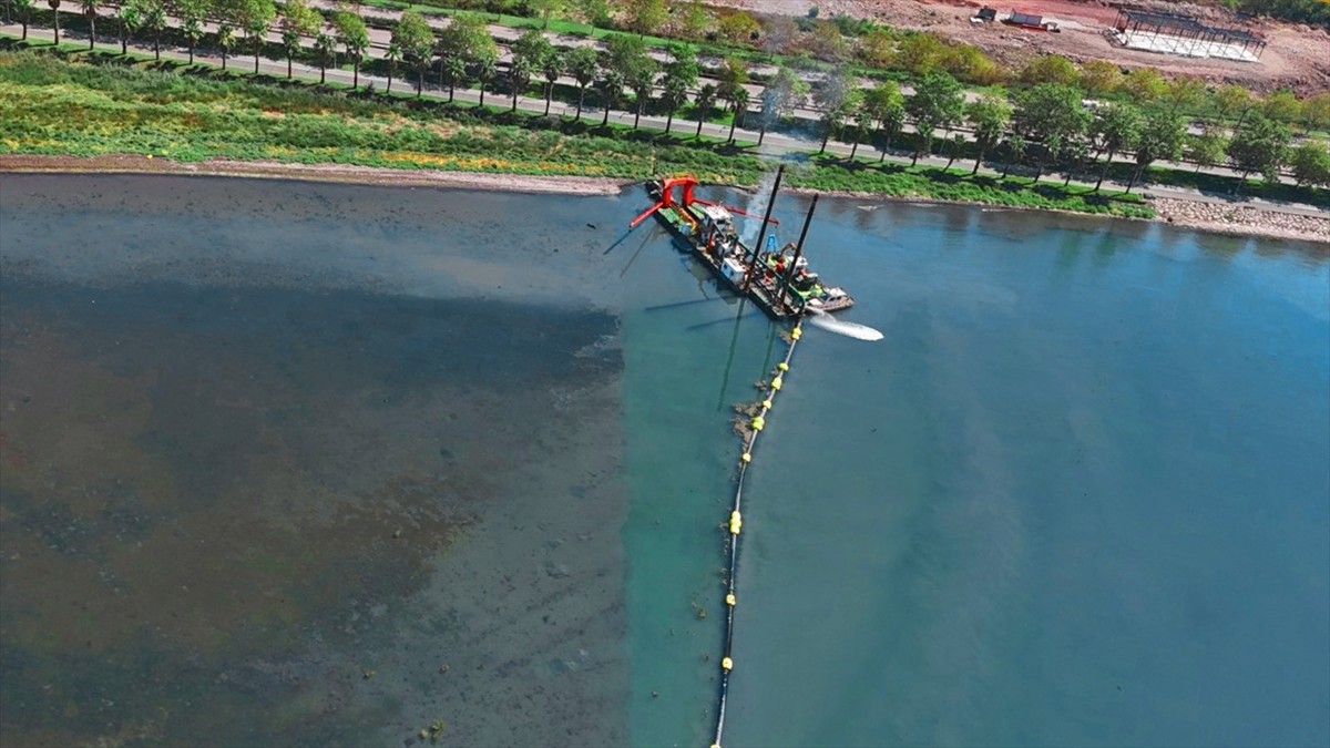 İzmit Körfezi'nde biyoçeşitliliğin korunması amacıyla başlatılan çalışma kapsamında şu ana kadar...