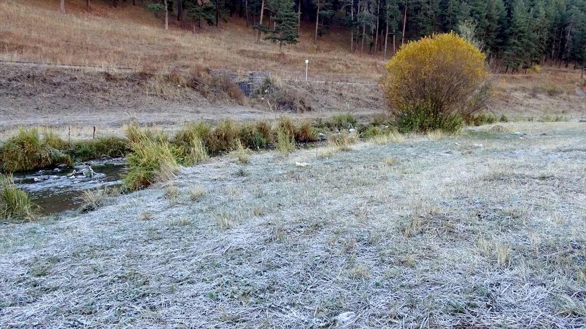 Kars'ın Sarıkamış ilçesinde bitkiler kırağı tuttu. Hava sıcaklığının sıfırın altında 3 dereceye...
