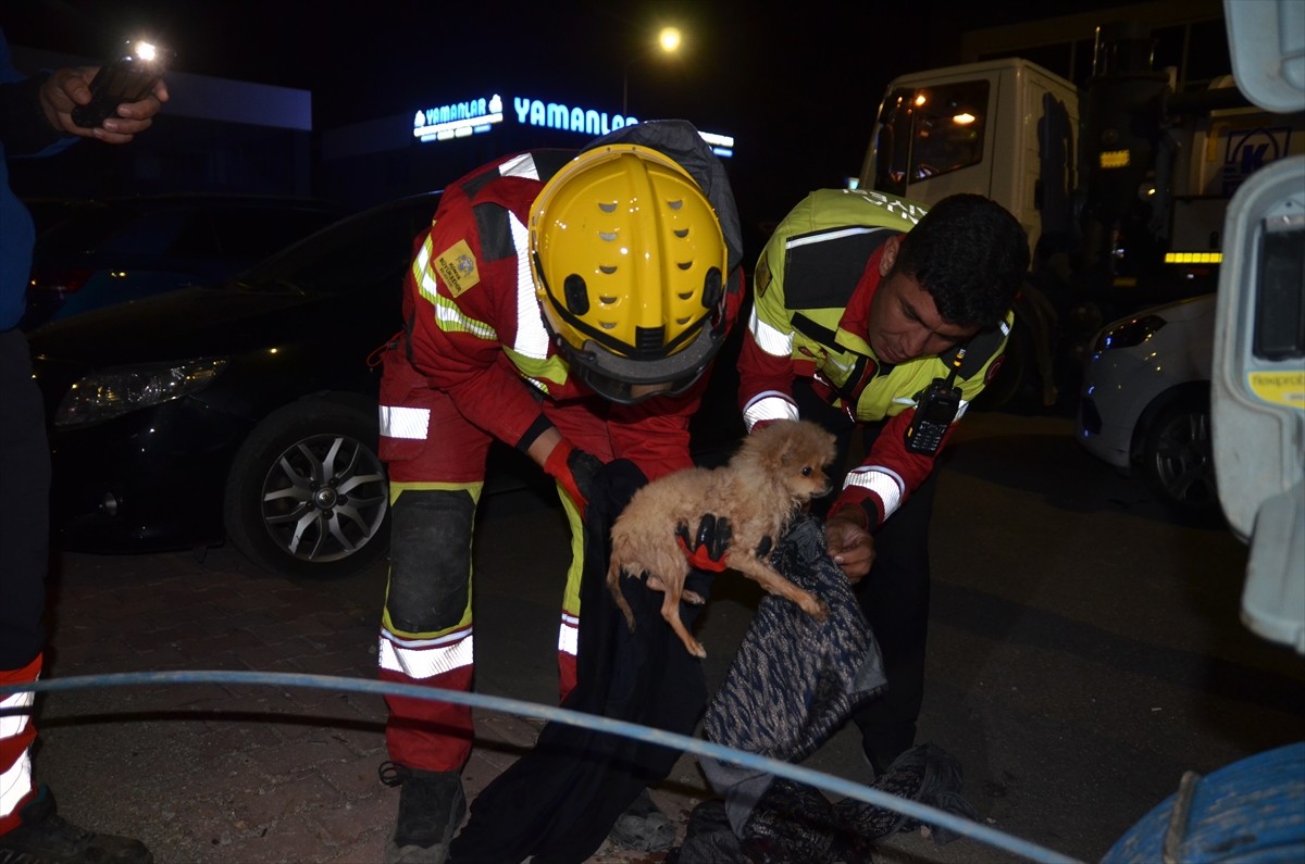 Konya'da itfaiye ekipleri, kanalizasyon borusuna sıkışan köpek yavrusunu 6 saatlik çalışmayla...