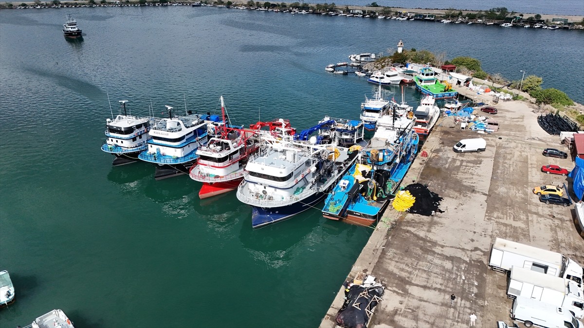 Ordulu balıkçılar, sabah saatlerinde açıldıkları Karadeniz'den bol miktarda istavrit avlayarak...