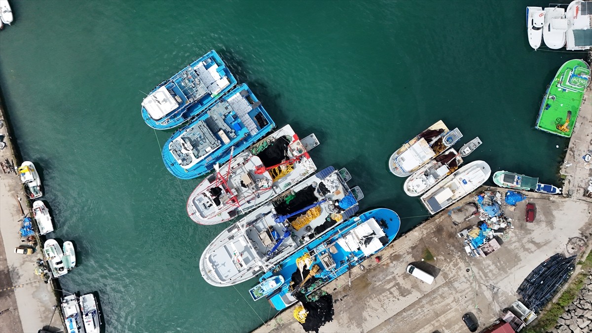 Ordulu balıkçılar, sabah saatlerinde açıldıkları Karadeniz'den bol miktarda istavrit avlayarak...