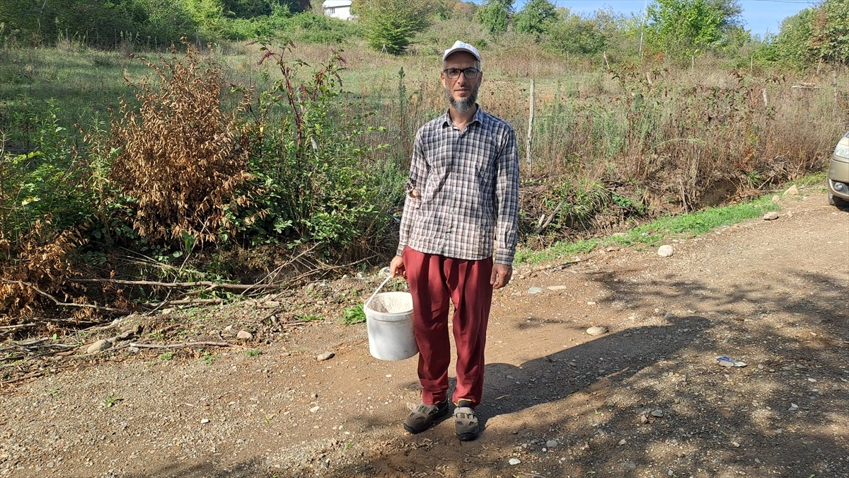 Sakarya Büyükşehir Belediyesinin "Yerinde Toprak Analizi" hizmeti, çiftçiler tarafından...