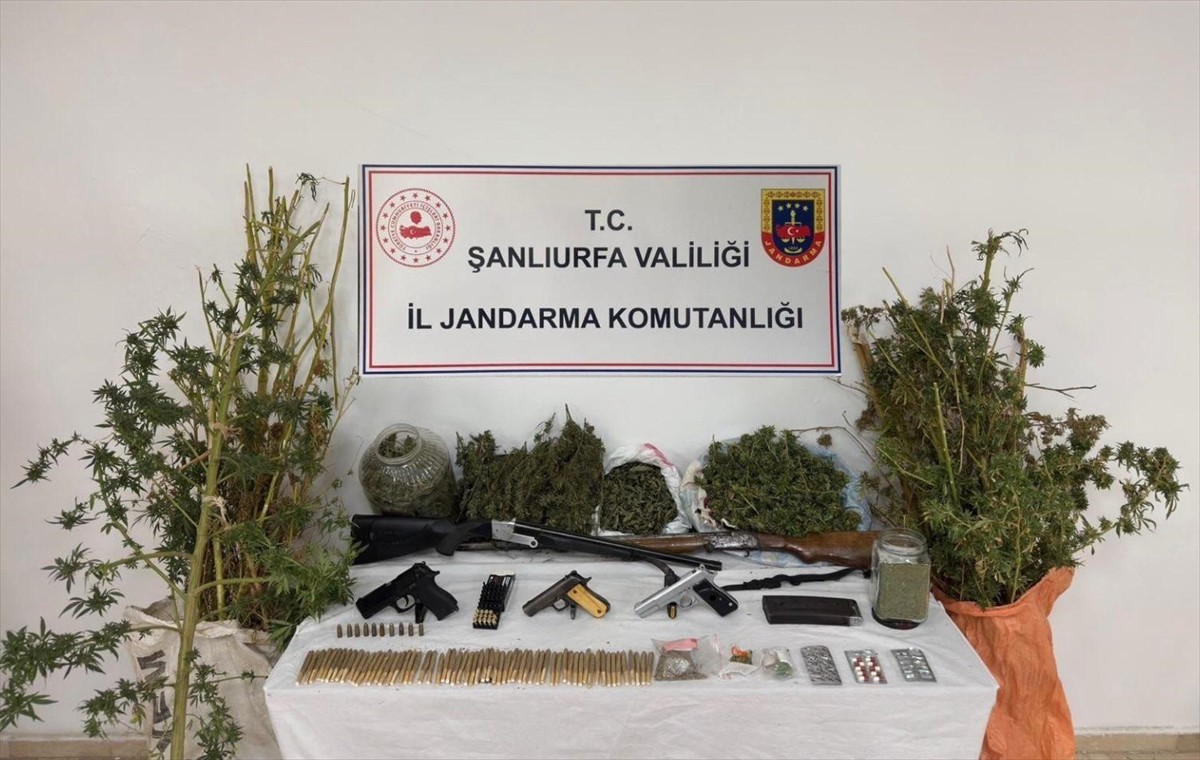Şanlıurfa'nın Haliliye ilçesinde uyuşturucu ve silah kaçakçılığı operasyonunda 3 şüpheli gözaltına...