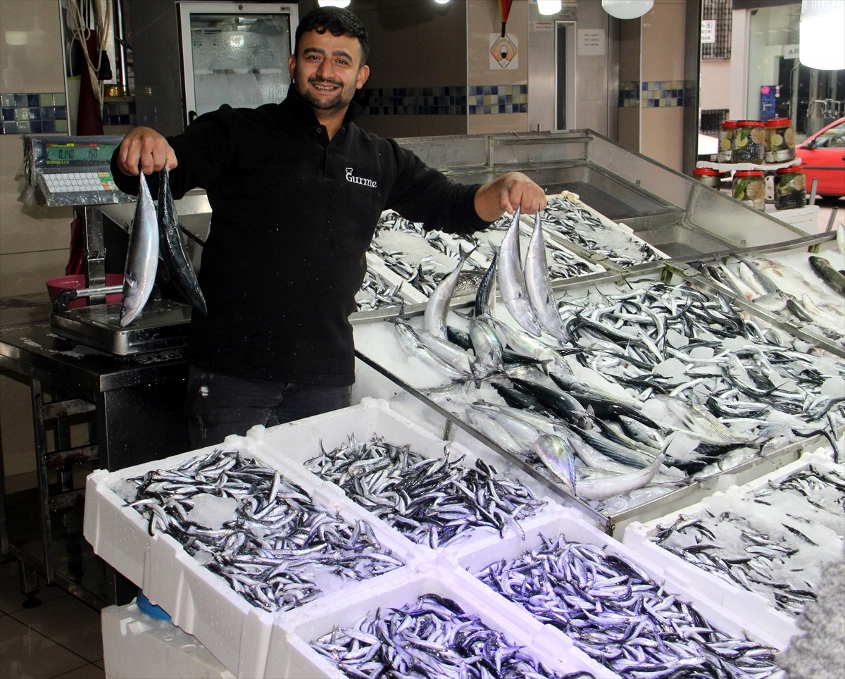 Sinop'ta denize açılan balıkçılar bol miktarda hamsi avladı. Kentteki balıkçıların tezgahlarında...