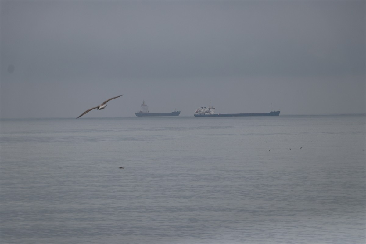 Tekirdağ'da 2 gündür süren poyrazın etkisini yitirmesiyle deniz ulaşımı normale döndü.