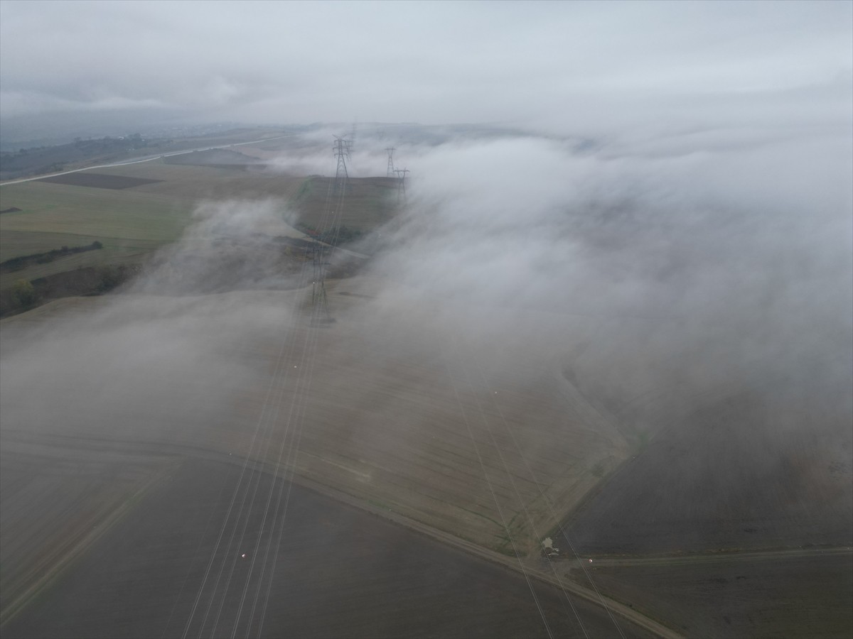 Tekirdağ'da sis nedeniyle görüş mesafesi yer yer 50 metrenin altına düştü.