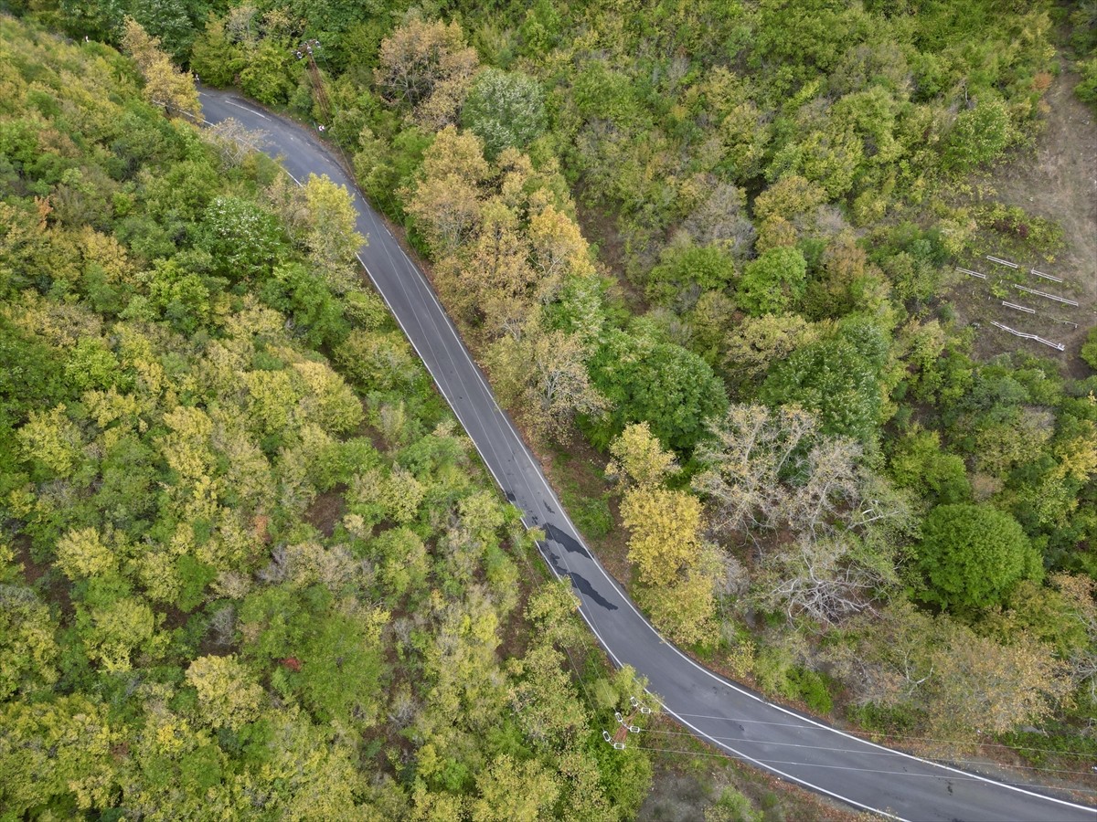 Tekirdağ'daki Ganos Dağı'nın eteklerinde sonbahar renkleri hakim olmaya başladı. Sonbaharın...