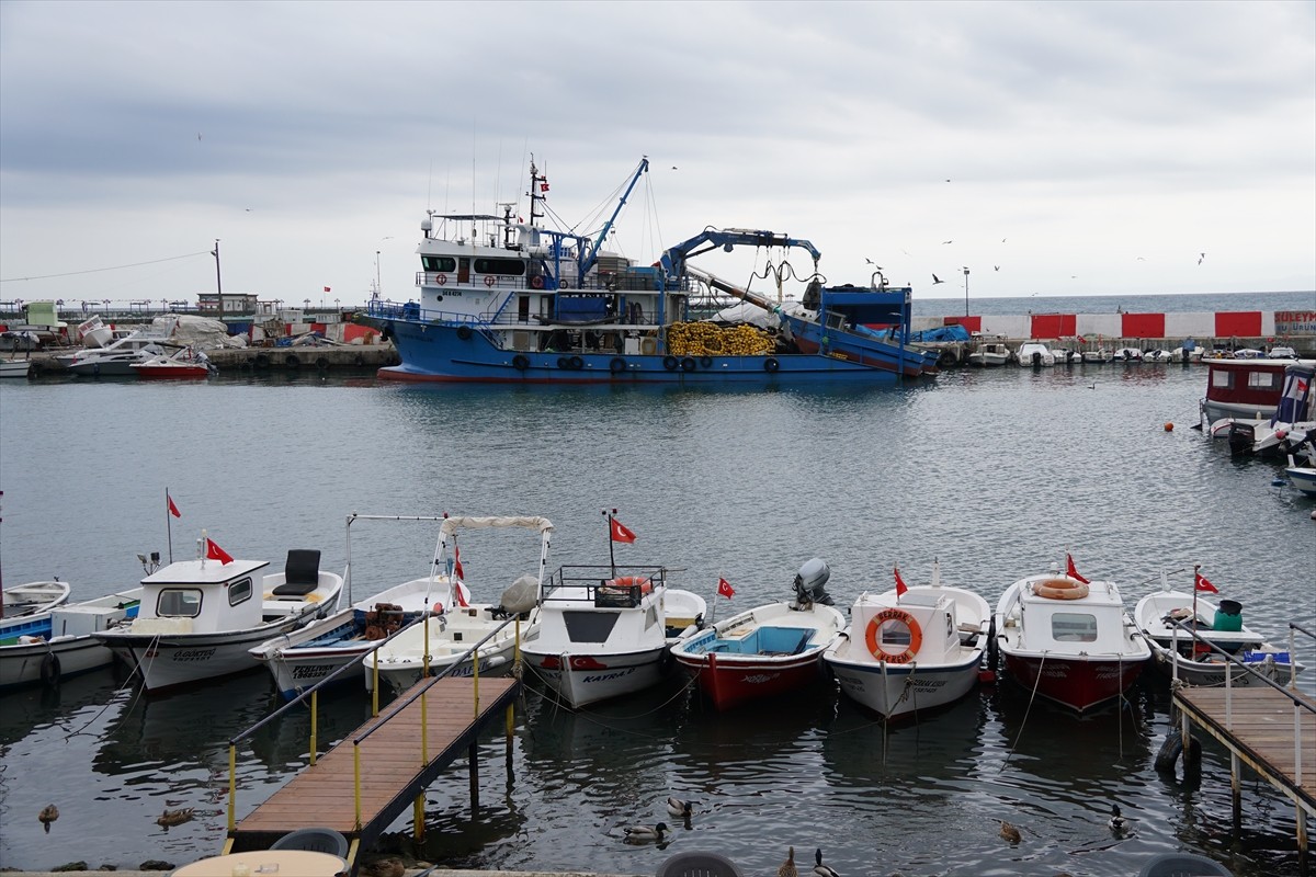 Tekirdağlı balıkçılar, Marmara Denizi'nde etkili olan poyraz nedeniyle 2 gündür ava...