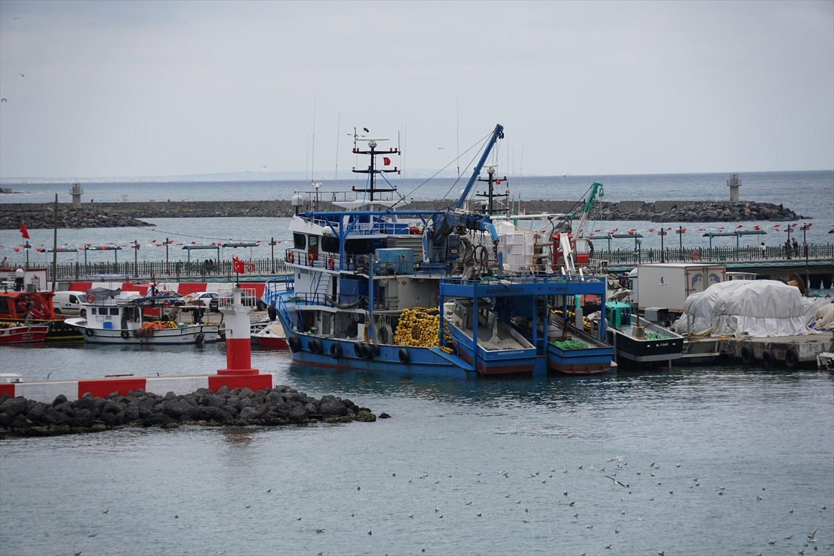 Tekirdağlı balıkçılar, Marmara Denizi'nde etkili olan poyraz nedeniyle 2 gündür ava...