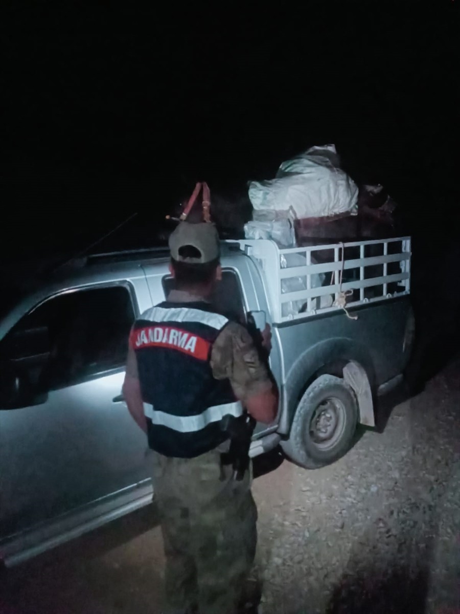 Tunceli'de jandarma ekiplerince düzenlenen operasyonda, doğada kendiliğinden yetişen ve endemik...
