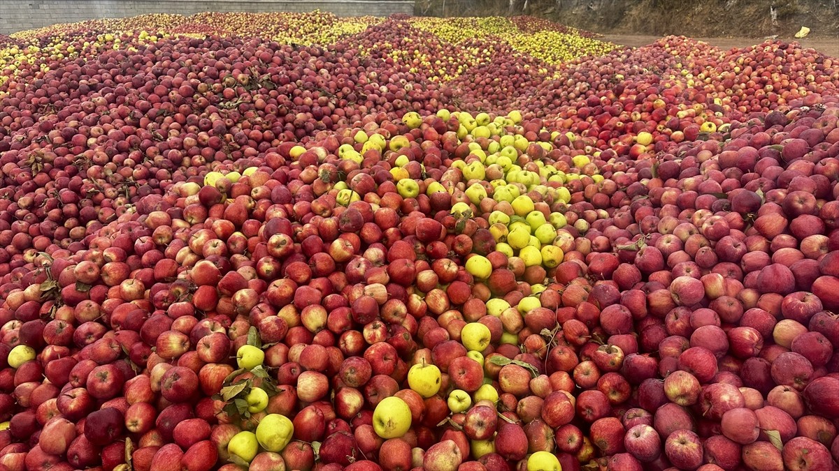 Türkiye'nin elma üretiminde ilk sırasında yer alan Isparta'da, yağışların az olması sebebiyle...