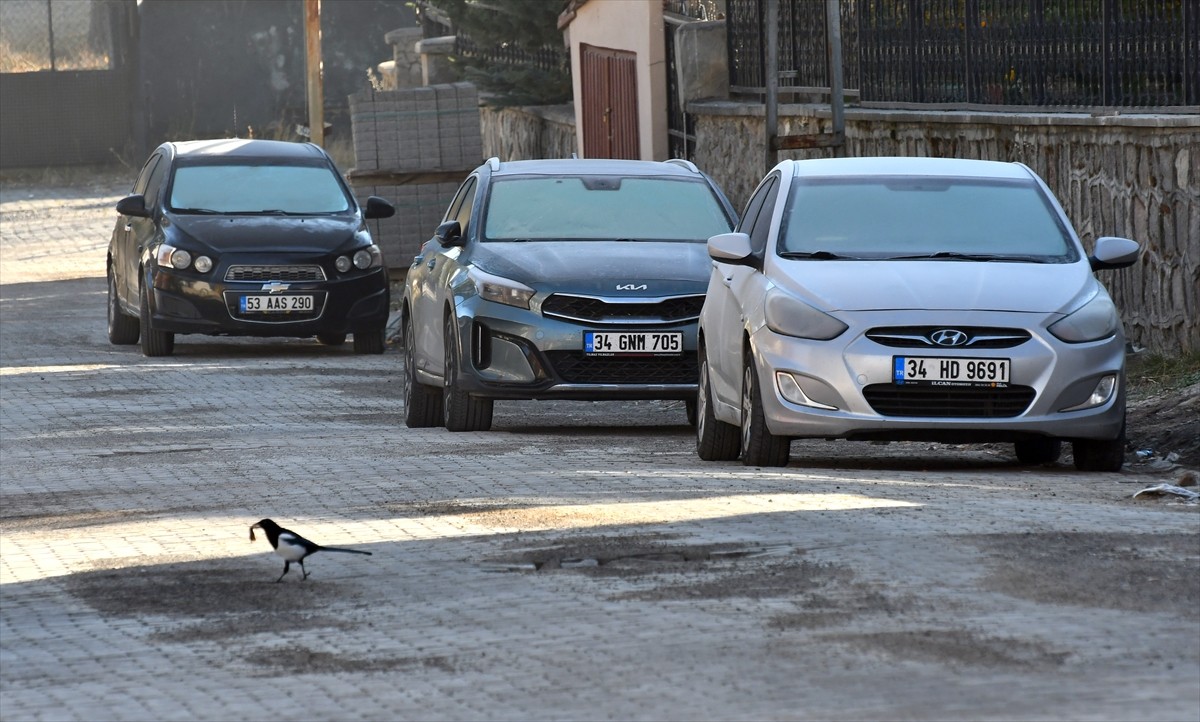 Türkiye'nin en yüksek yerleşim yerlerinden Kars'ın Sarıkamış ilçesi kırağı ile beyaza büründü....