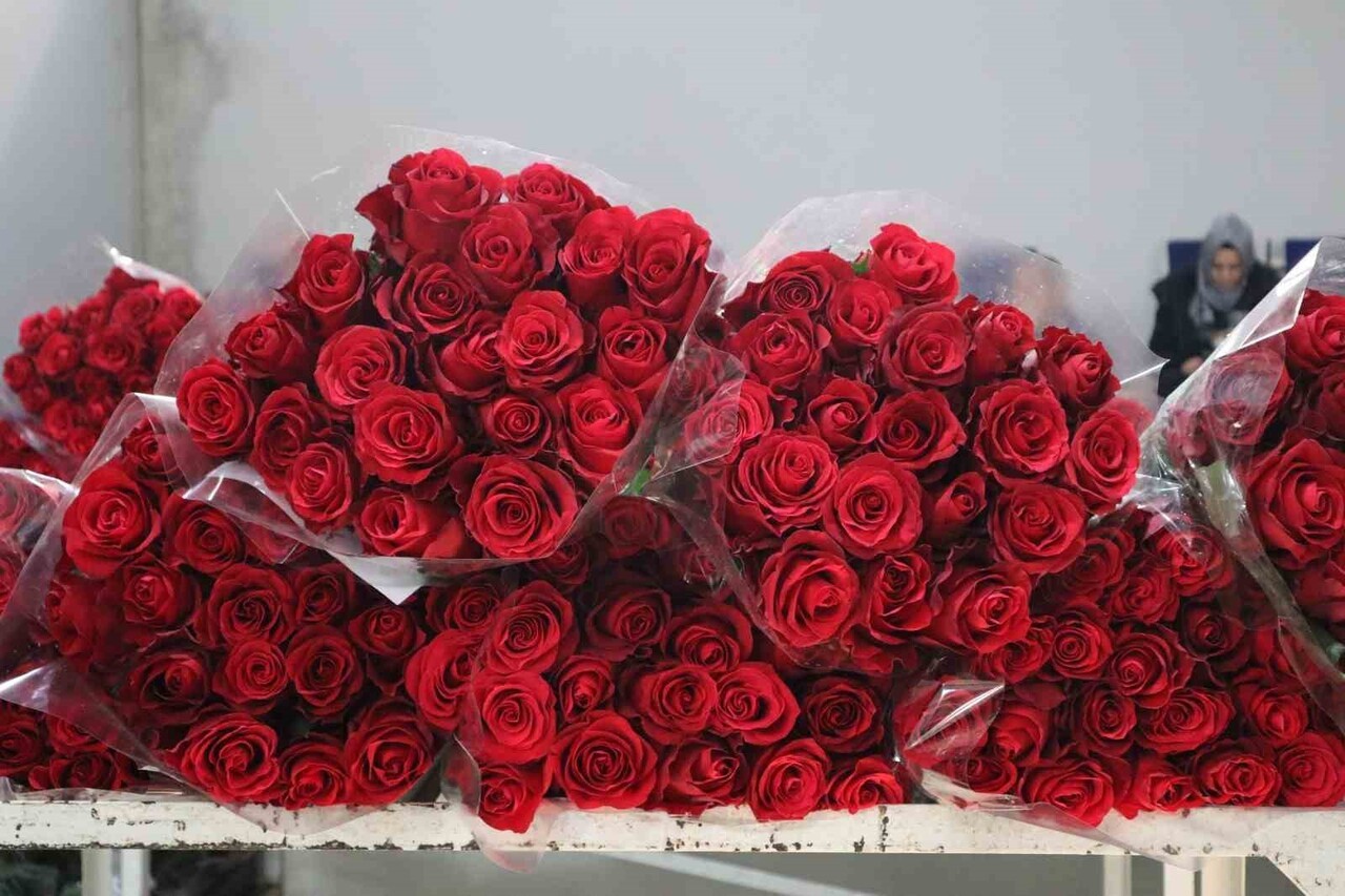 24 KASIM ÖĞRETMENLER GÜNÜ NEDENİYLE KESME ÇİÇEK ÜRETİMİNDE SÖZ SAHİBİ İLLERDEN BİRİSİ OLAN...