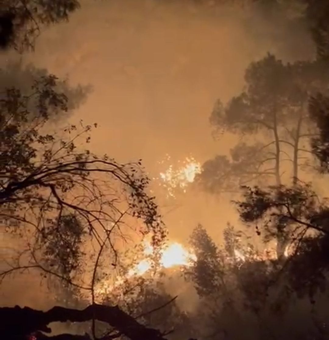 ADANA'DA GECE ÇIKAN ORMAN YANGINI EKİPLERİN MÜDAHALESİYLE BÜYÜMEDEN SÖNDÜRÜLDÜ.