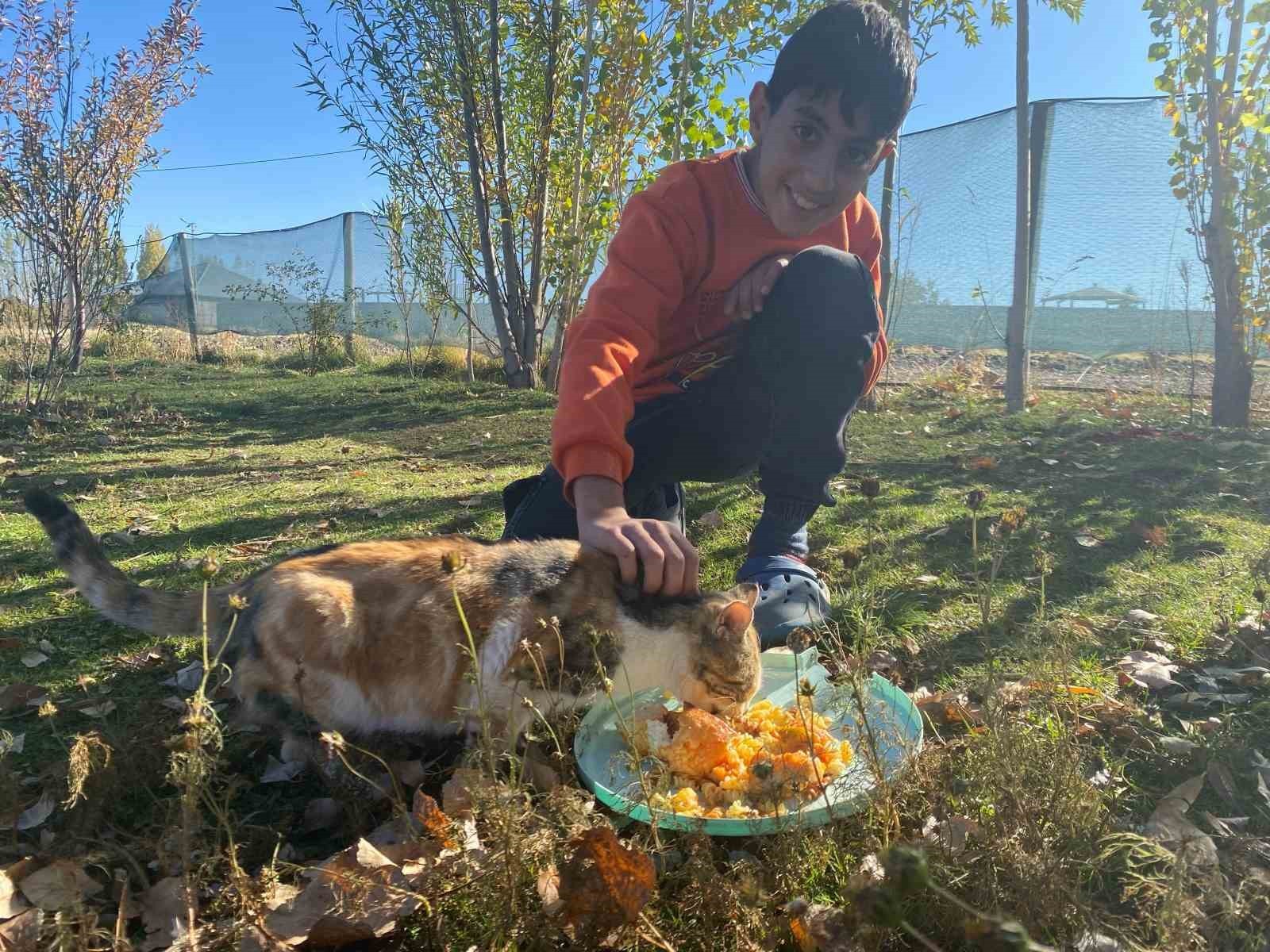 AĞRI'DA YAŞAYAN VE SOKAK HAYVANLARINI YALNIZ BIRAKMAYAN SEREN ALBAY, EVİNE ALDIĞI KEDİLERİ ...