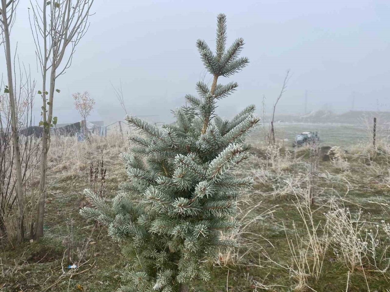 AĞRI’DAKIRAĞI ETKİLİ OLDU