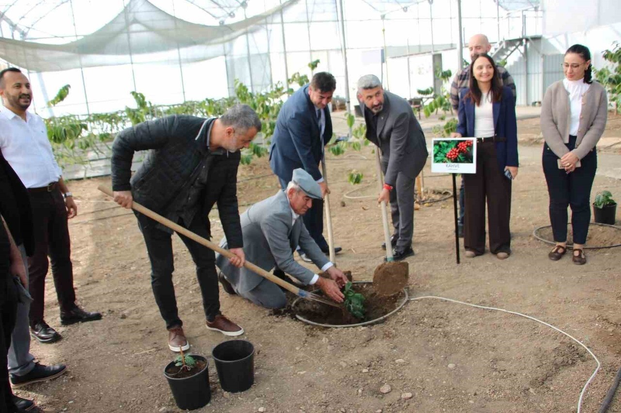 ANTALYA'NIN KUMLUCA İLÇESİNDE AKDENİZ ÜNİVERSİTESİ KUMLUCA MESLEK YÜKSEK OKULU TROPİKAL MEYVE...