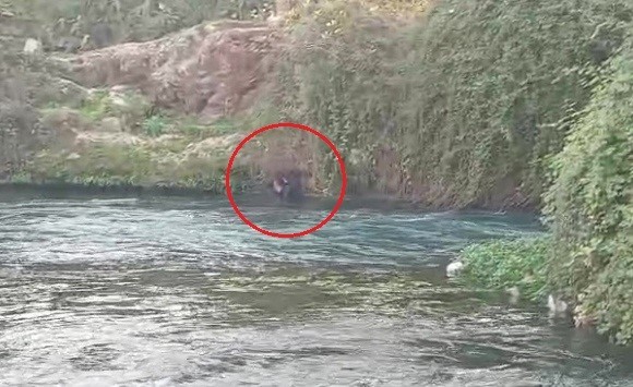 ANTALYA’DA DENGESİNİ KAYBEDEREK DÜDEN ÇAYINA DÜŞEREK AKINTIYLA BİR SÜRE SÜRÜKLENEN VE GÜÇLÜKLE...