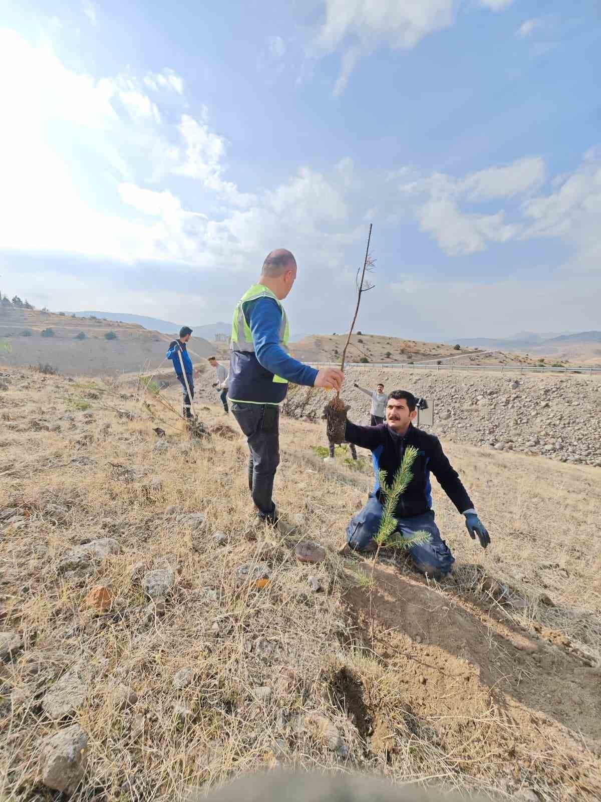 ARAS ELEKTİK, 11 KASIM MİLLİ AĞAÇLANDIRMA GÜNÜ KAPSAMINDA SORUMLULUK BÖLGESİNDE YER ALAN İLLERDE...