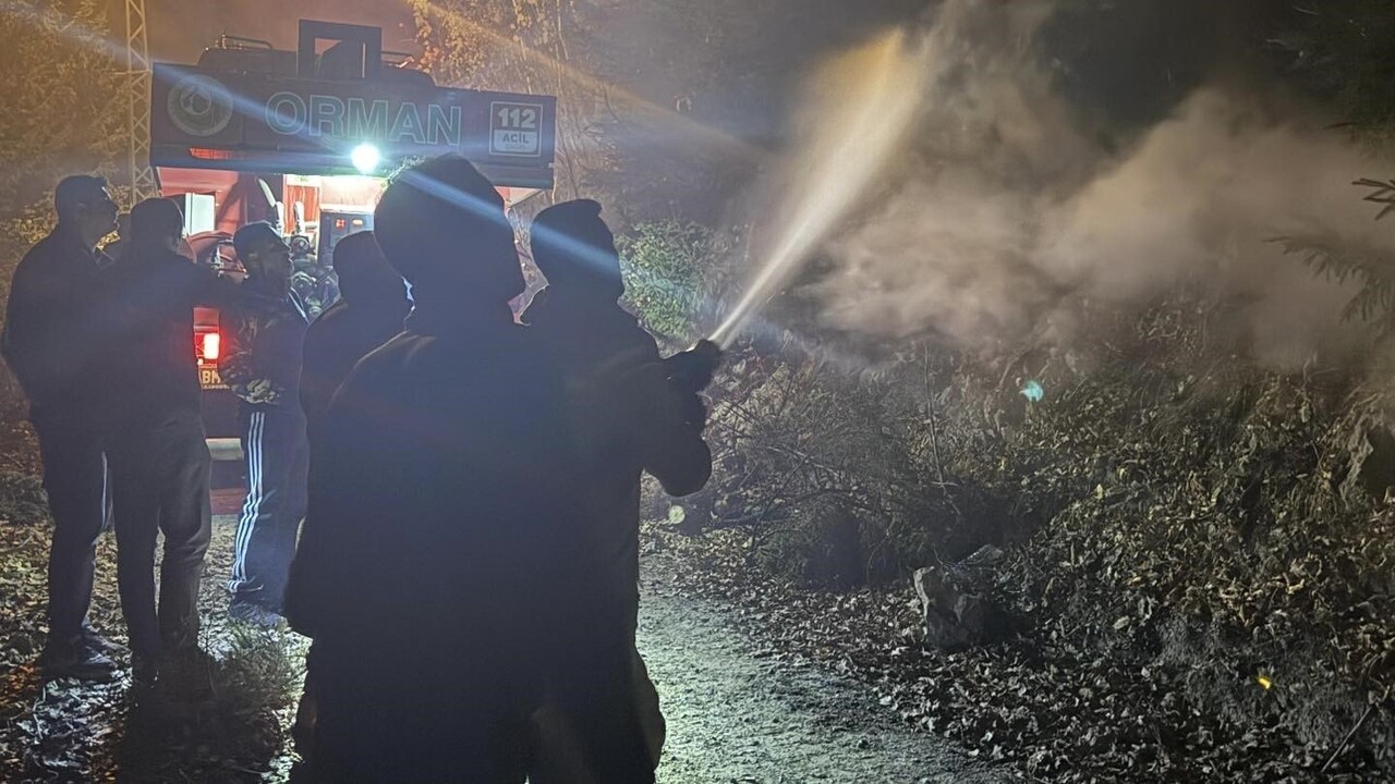 ARTVİN MERKEZ ORTAKÖY ÇALIŞKANLAR MAHALLESİ’NDE YAKLAŞIK 200 METREKARELİK ZİRAAT ALANINDA ÇIKAN...