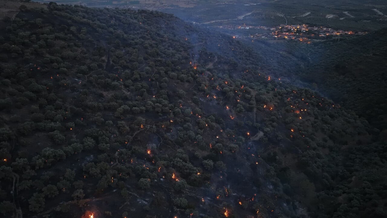 AYDIN'IN BOZDOĞAN İLÇESİNDE ZİRAİ ALANDA ÇIKIP ORMANA SIÇRAYAN YANGINDA SÖNDÜRME VE SOĞUTMA...