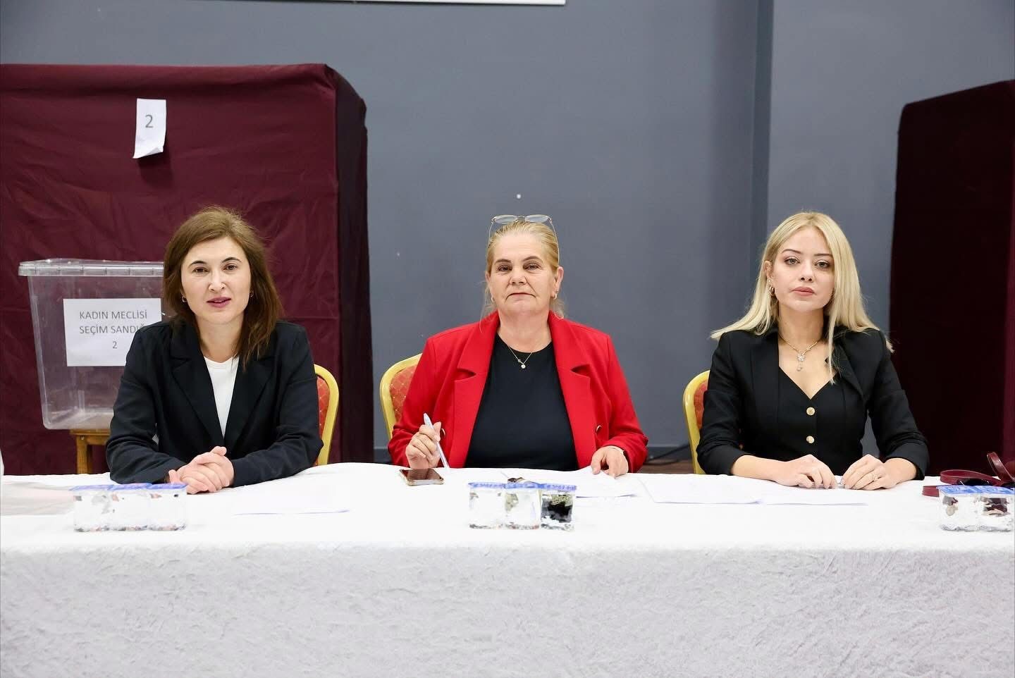 AYDIN'IN DİDİM İLÇESİNDE KADINLARIN KARAR ALMA SÜREÇLERİNE KATILIMINI ARTIRMAK, TOPLUMSAL EŞİTLİĞİ...