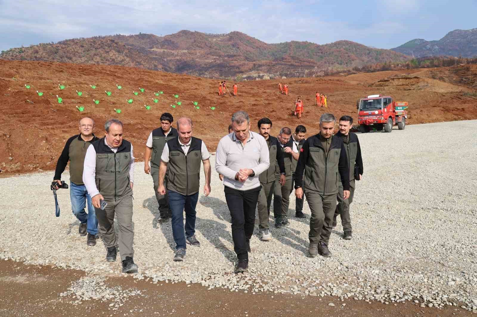 AYDIN’DA 17 LOKASYONDA FİDAN DİKİLECEK