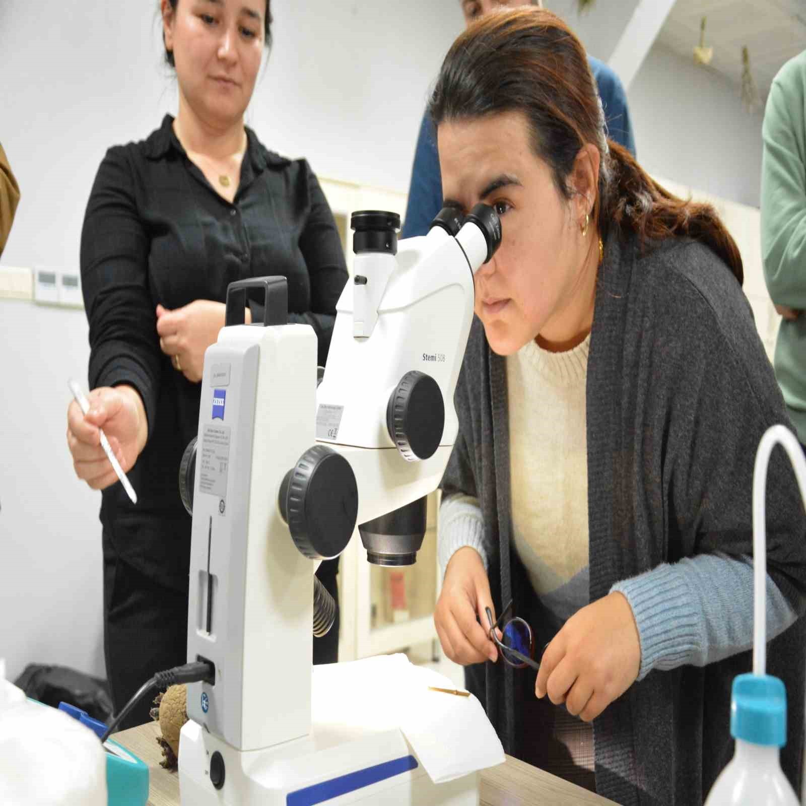 BALIKESİR BÜYÜKŞEHİR BELEDİYESİ KIRSAL HİZMETLER DAİRESİ BAŞKANLIĞINA BAĞLI BALIKESİR ÇİFTÇİ...