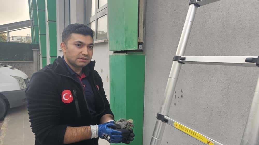 BATMAN’DA PINARBAŞI TAZİYE EVİ’NİN DIŞ KISMINDAKİ KOMPOZİT KOLONLARA SIKIŞAN KUŞ, İTFAİYE...