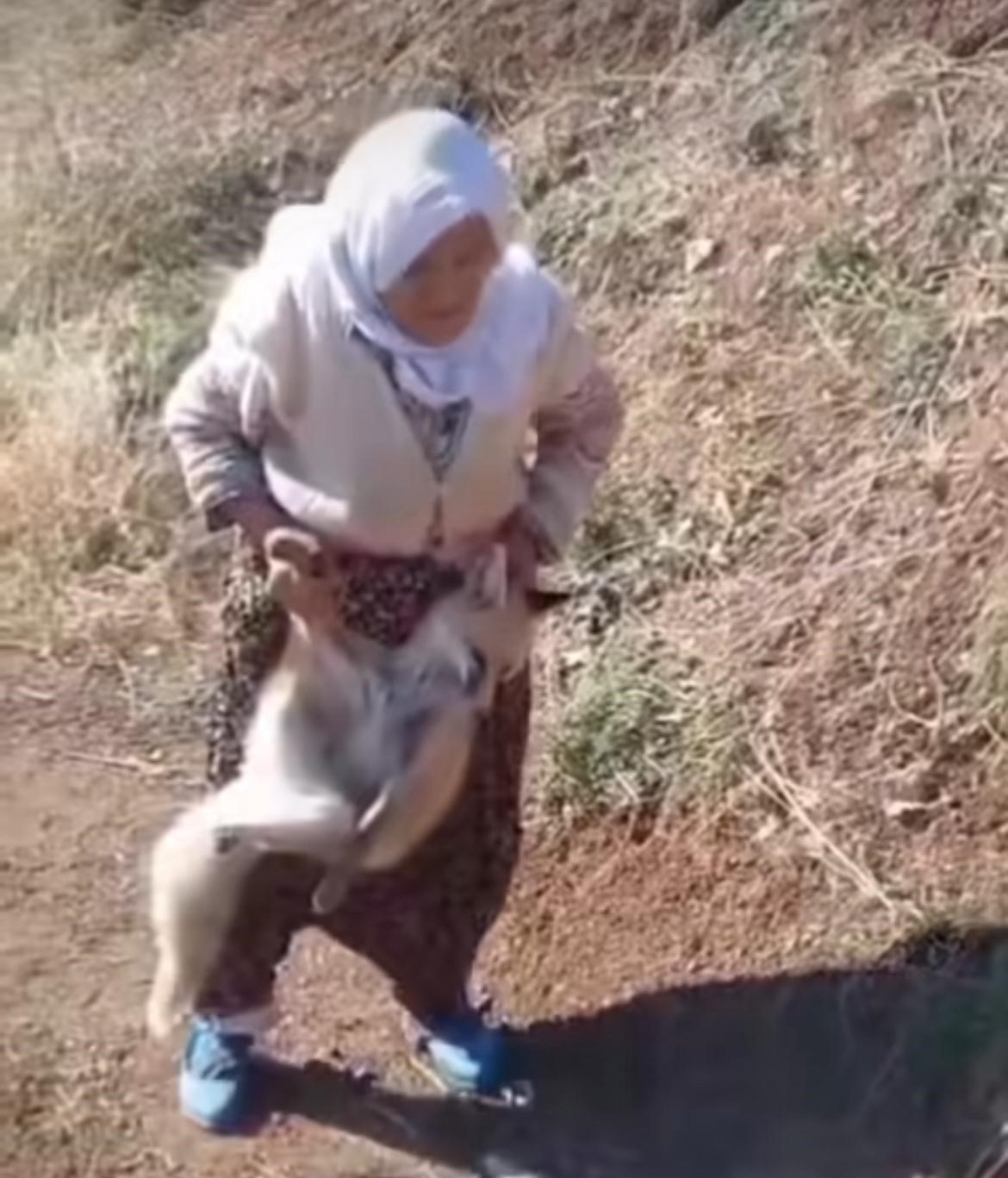 BATMAN’IN SASON İLÇESİNDE GEÇTİĞİMİZ YIL KÜMESİNE DADANAN TİLKİYİ ELLERİYLE YAKALAYIP KARNINI...