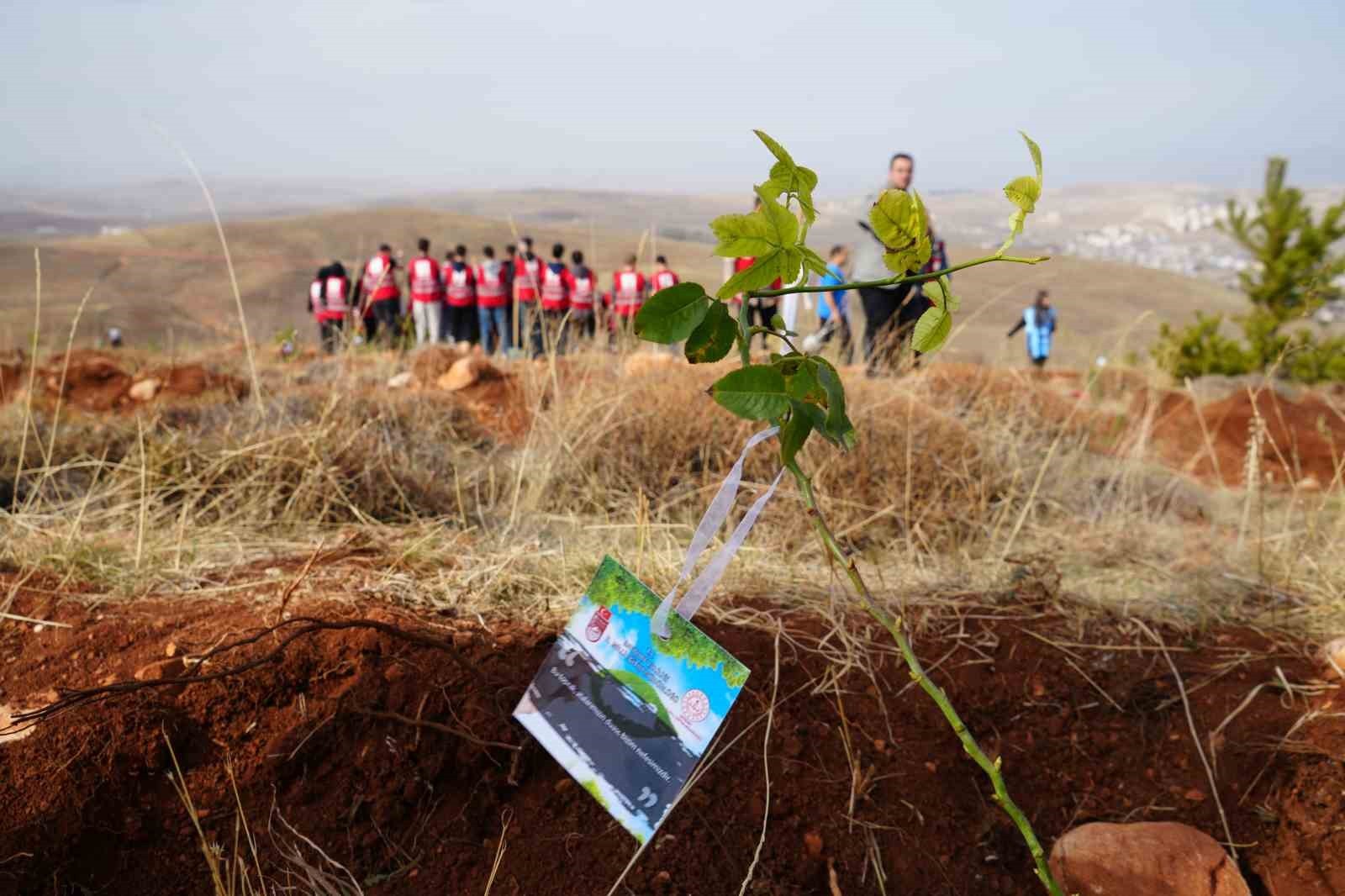 BAYBURT’TA 97 BİN 620 FİDAN TOPRAKLA BULUŞTURULDU