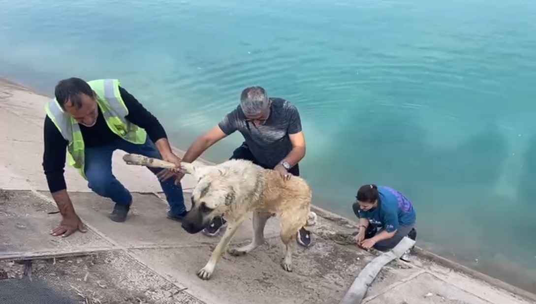 BELEDİYENİN SULAMA TANKERİNİN ORADAN GEÇMESİNİN KENDİLERİ İÇİN BÜYÜK BİR ŞANS OLDUĞUNU AKTARAN...