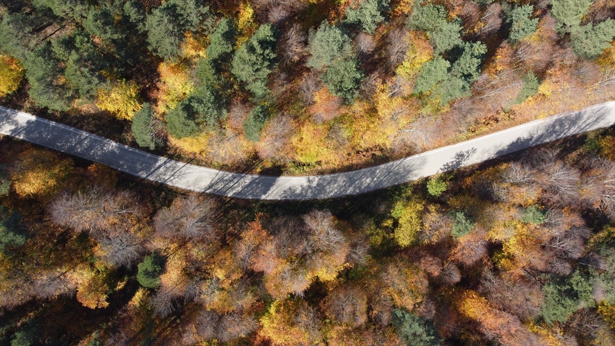Bilecik'in Pazaryeri ilçesindeki Küçükelmalı Tabiat Parkı ile Bozcaarmut Göleti yakınlarındaki...
