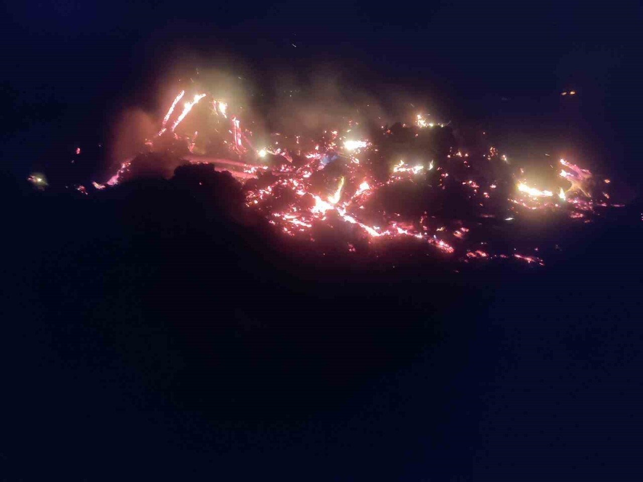 BİLECİK'TE ÇÜRÜMÜŞ AĞAÇ VE KÖKLERİ YAKARKEN, ALEVLER KONTROLDEN ÇIKTI