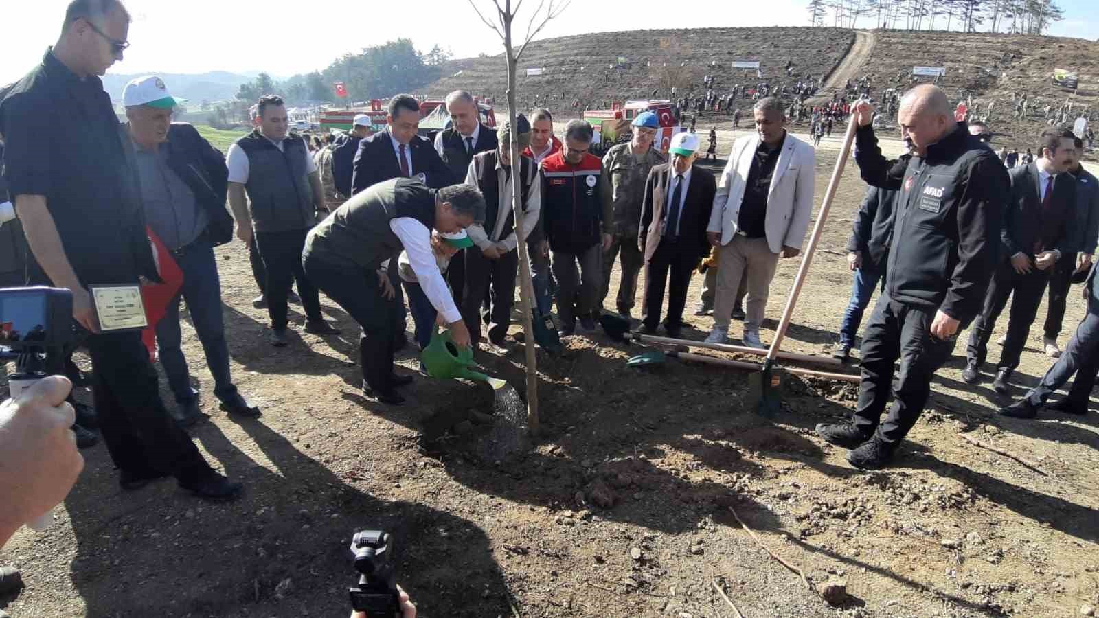 BOLU’DA 15 TEMMUZ’DA YANAN DELİCE KÖYÜ ORMANLIK ALANI, 11 KASIM MİLLİ AĞAÇLANDIRMA GÜNÜ’NDE...