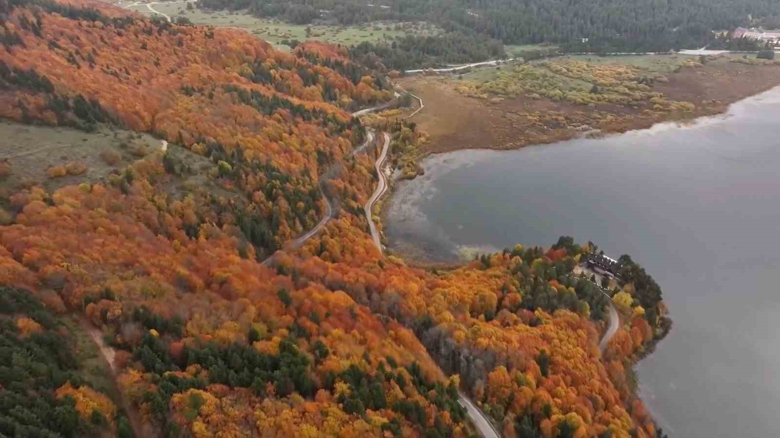 BOLU’NUN DOĞA HARİKASI ABANT GÖLÜ MİLLİ PARKI, HAFTA SONUNDA ZİYARETÇİ AKININA UĞRADI. TÜRKİYE’NİN...
