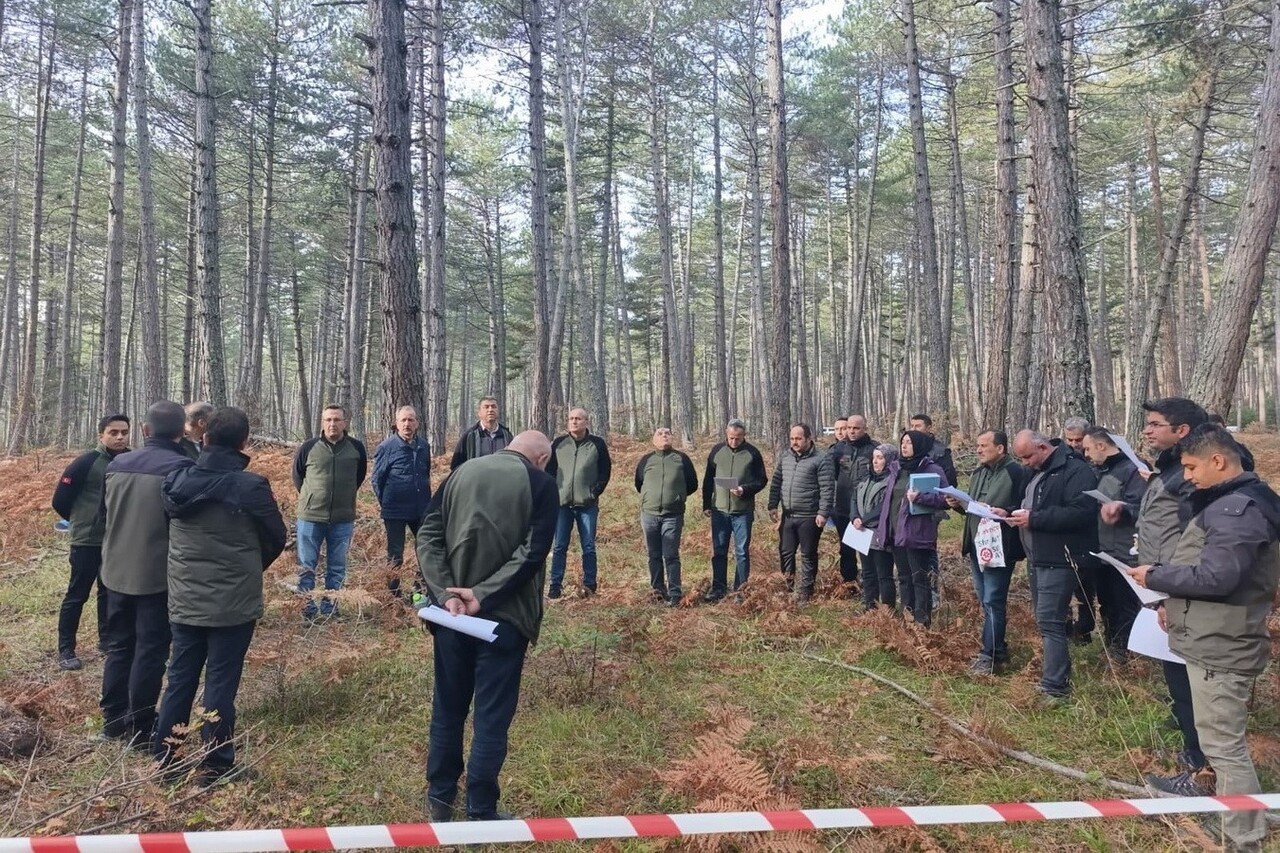 BOLU ORMAN BÖLGE MÜDÜRLÜĞÜ, ORMANLARIN GENETİK KALİTESİNİ KORUMAK VE GELECEĞE SAĞLIKLI ORMANLAR...