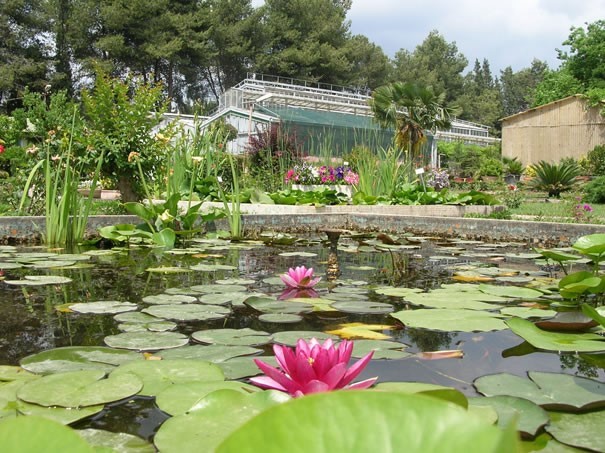 BOTANİK BAHÇESİ, BİR YANDAN HER YAŞTAN BİTKİ SEVERLERİ AĞIRLARKEN BİR YANDAN DA TÜRKİYE’NİN DÖRT...