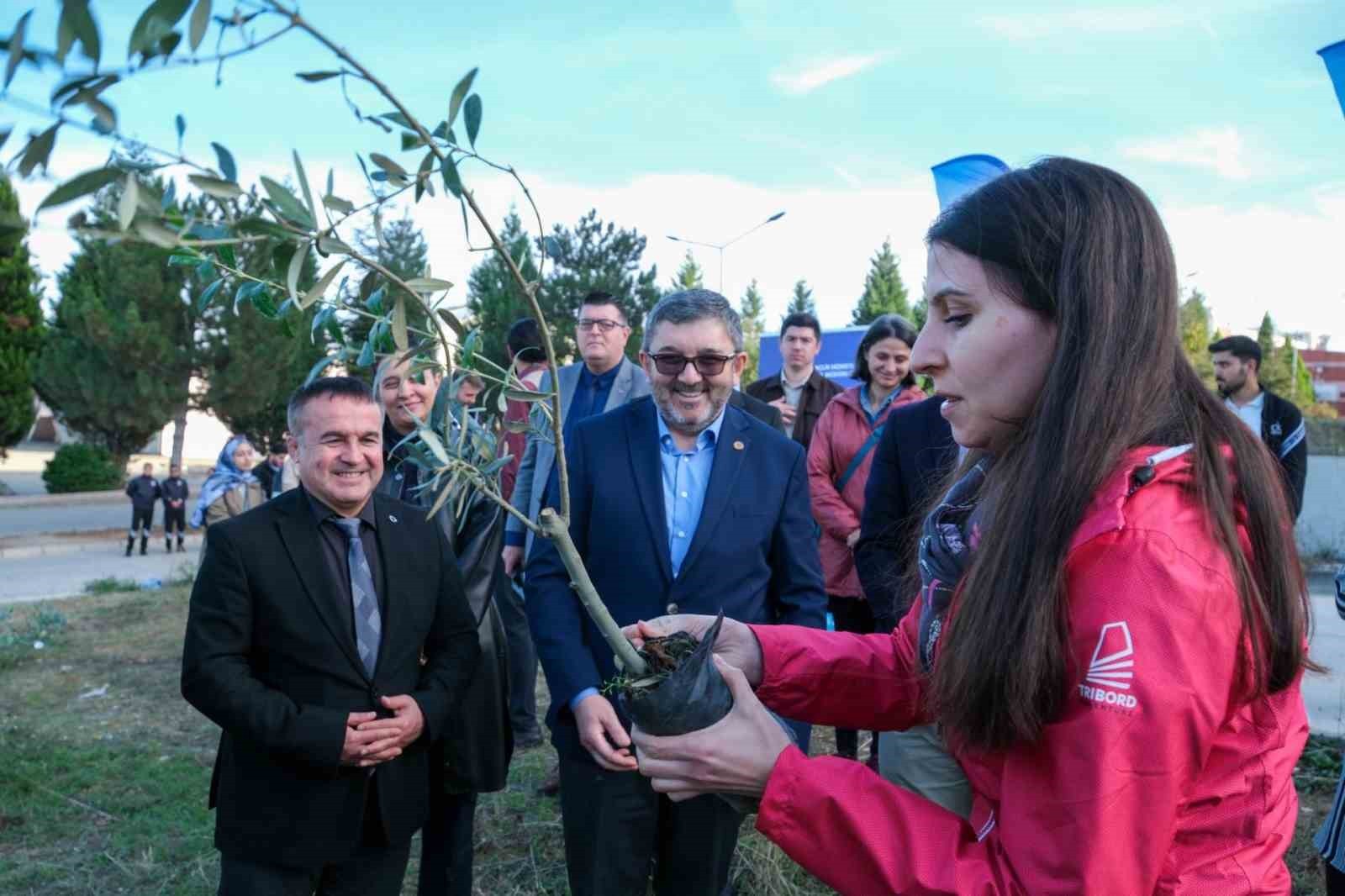 BŞEÜ’DE 150 ZEYTİN FİDANI DİKİLDİ