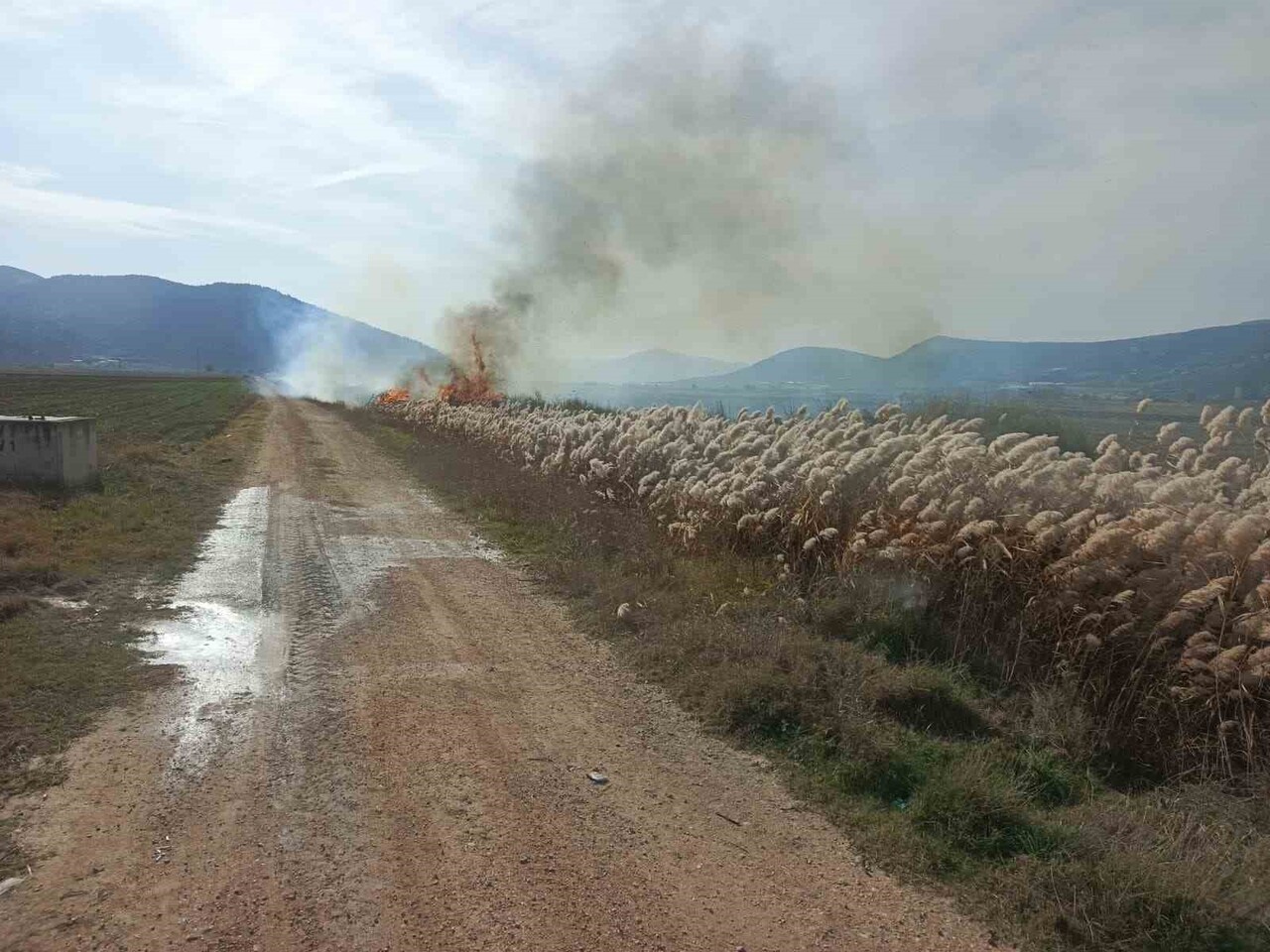 BURDUR'UN BUCAK İLÇESİNDE SAZLIK ALANDA ÇIKAN YANGIN İTFAİYE EKİPLERİ TARAFINDAN...