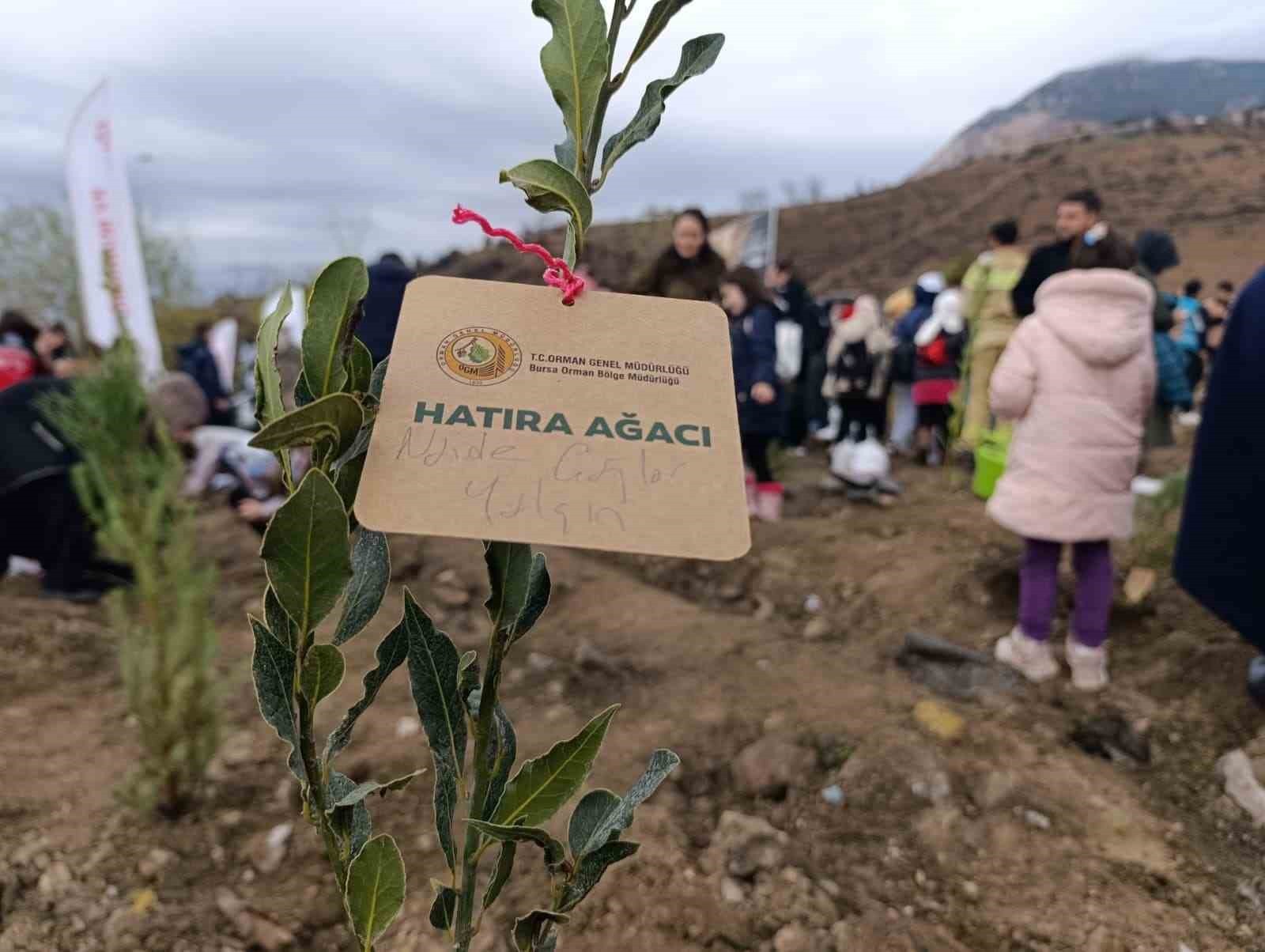 BURSA’DA GEÇTİĞİMİZ YAZ MEYDANA GELEN ORMAN YANGININDA ZARAR GÖREN ALANLAR YENİDEN...