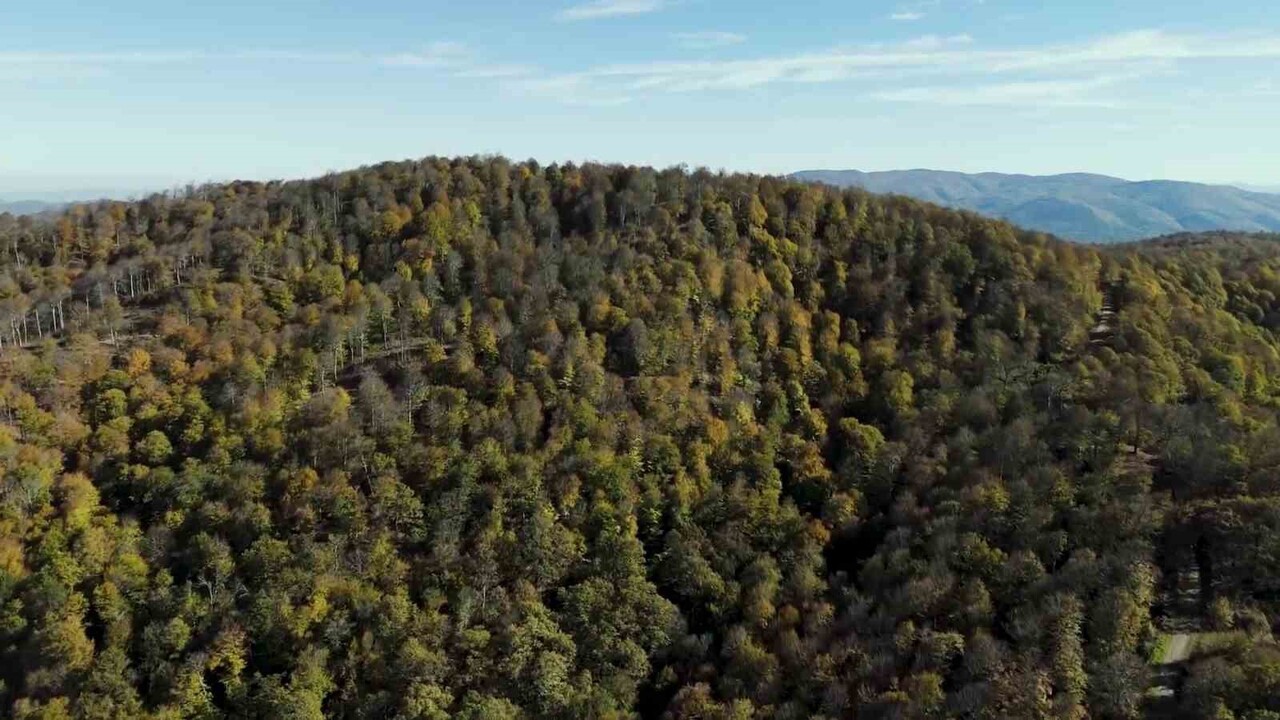 ÇANAKKALE'NİN BİGA İLÇESİNDE ORMANLAR SONBAHAR RENKLERİNE BÜRÜNÜRKEN BU GÜZEL MANZARA HAVADAN...