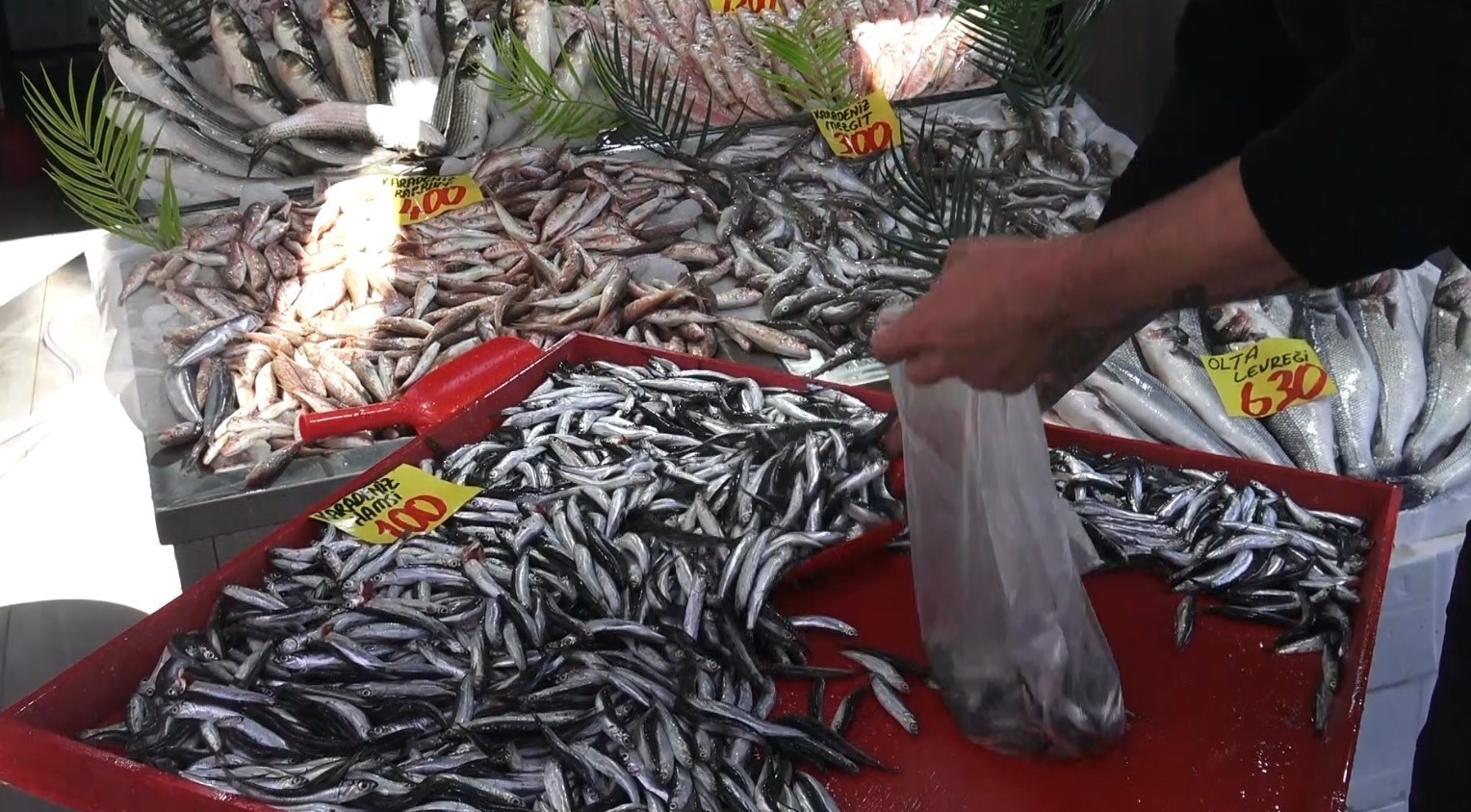 ÇANKIRI'DA BALIKÇILARDA 100 LİRAYA KADAR KİLOGRAM FİYATI HAMSİ VATANDAŞLARIN YÜZÜNÜ GÜLDÜRDÜ....