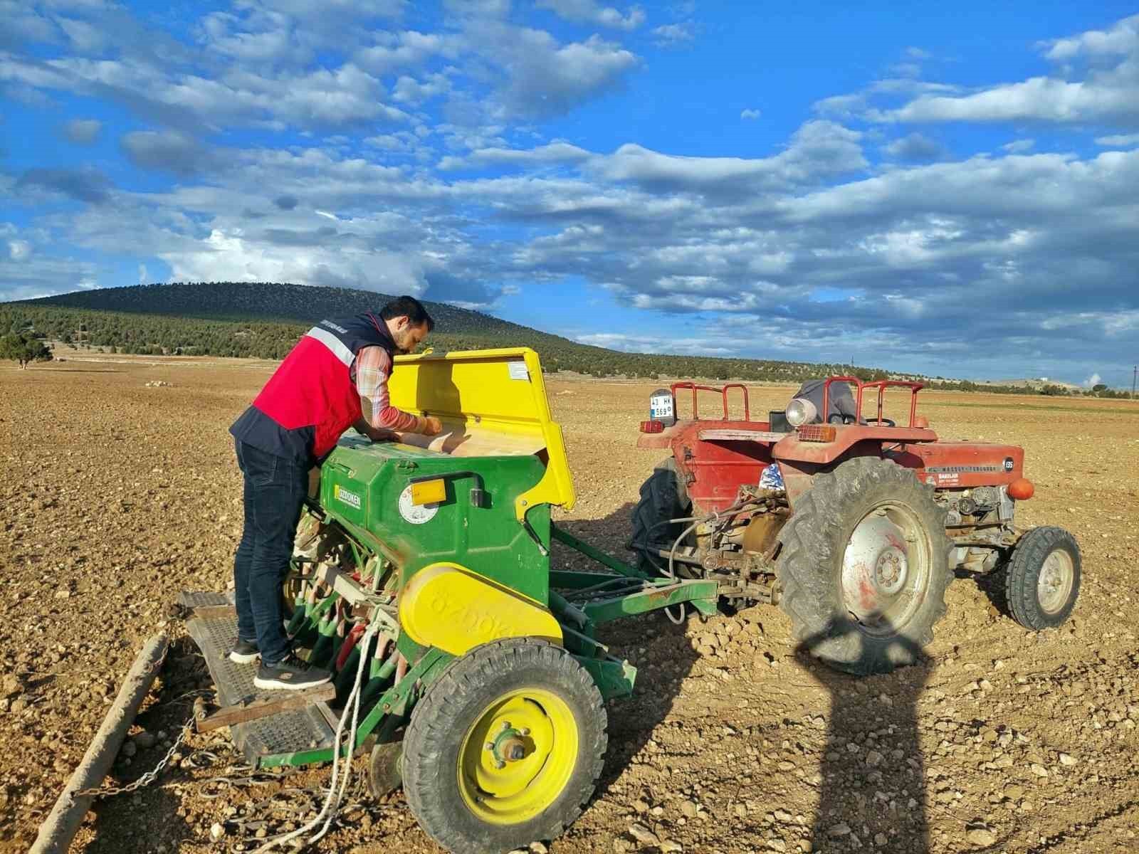 ÇAVDARHİSAR’DA BUĞDAY VE TRİTİKALE TOHUMLARININ EKİMİ YAPILDI