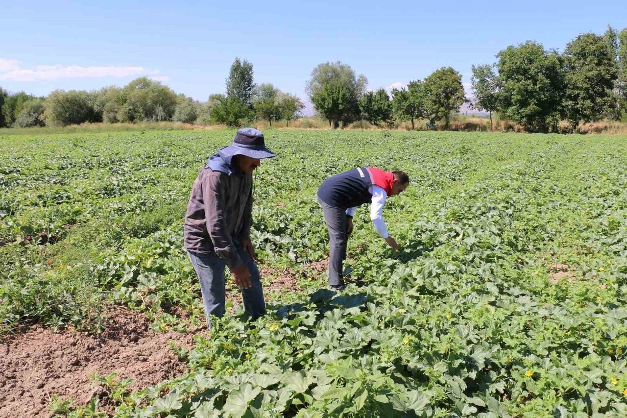 ÇKS BAŞVURULARI 31 ARALIK’TA SONA ERİYOR