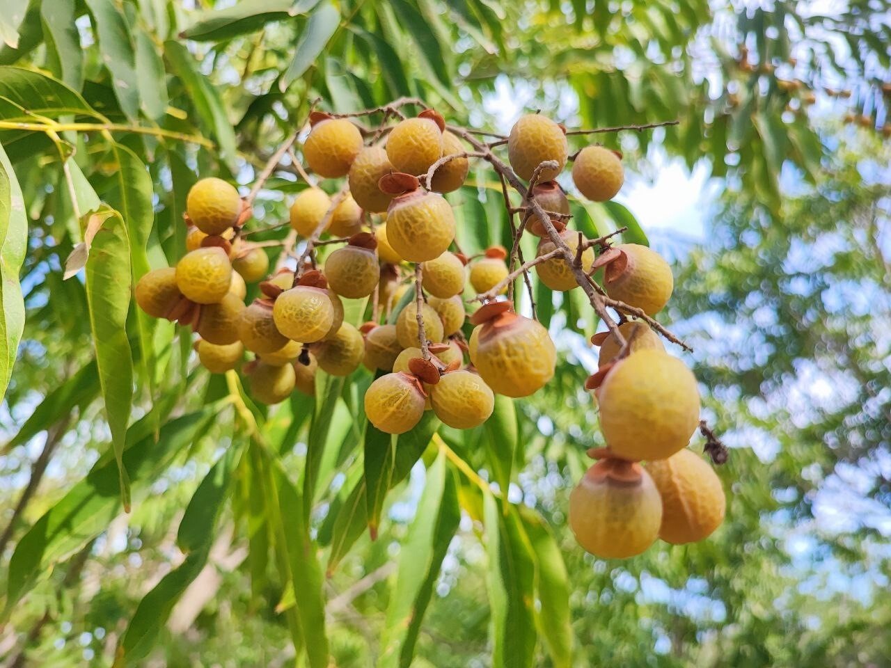 CUMHURBAŞKANI RECEP TAYYİP ERDOĞAN’IN EŞİ EMİNE ERDOĞAN’IN BAŞLATTIĞI "SIFIR ATIK" PROJESİ...